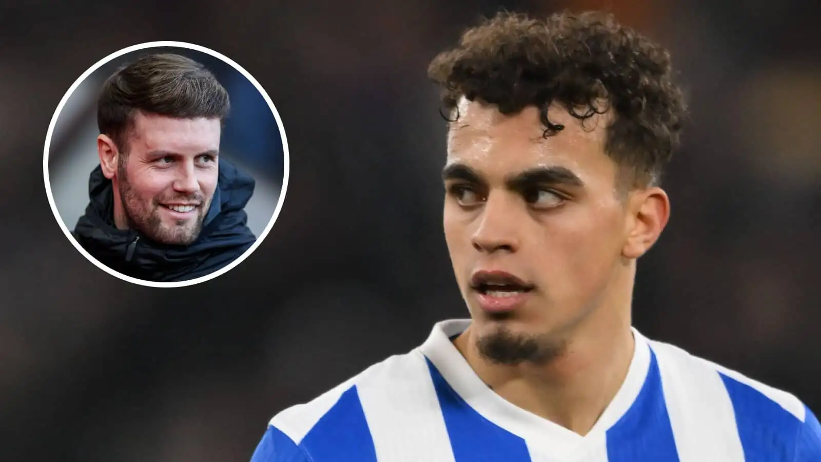El Brighton Inicia Conversaciones con Ayari para una Nueva Contrato