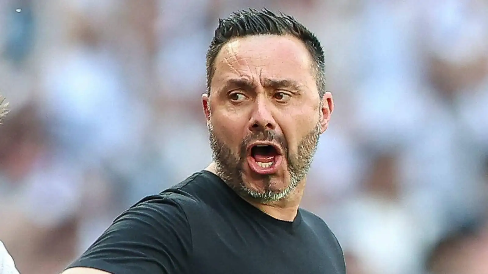 Bayern Abbassa la Richiesta per Palhinha, Rinvigorendo le Speranze del Tottenham