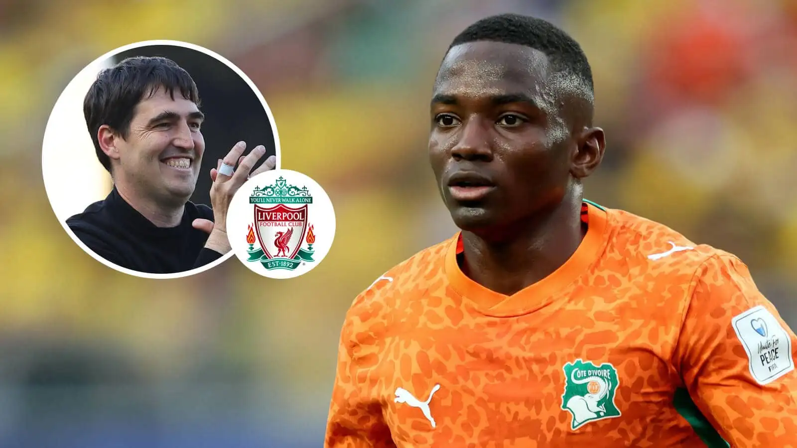 Liverpool Turn to Toure After Diomande Deal Collapses