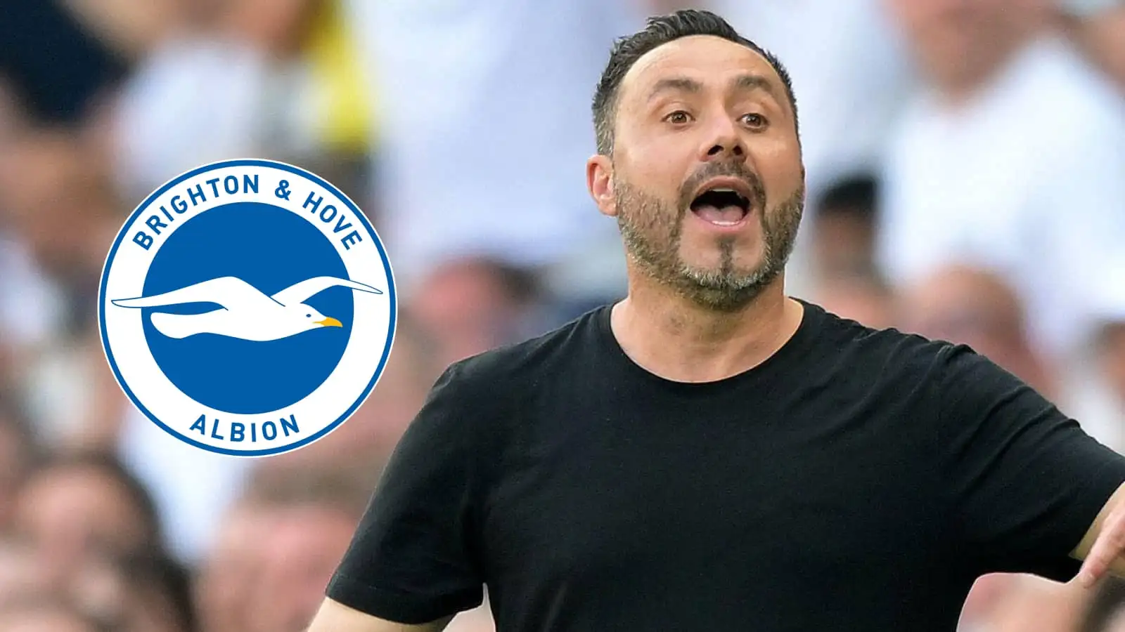 De Zerbi Targets Brighton Trio in First Spurs Window