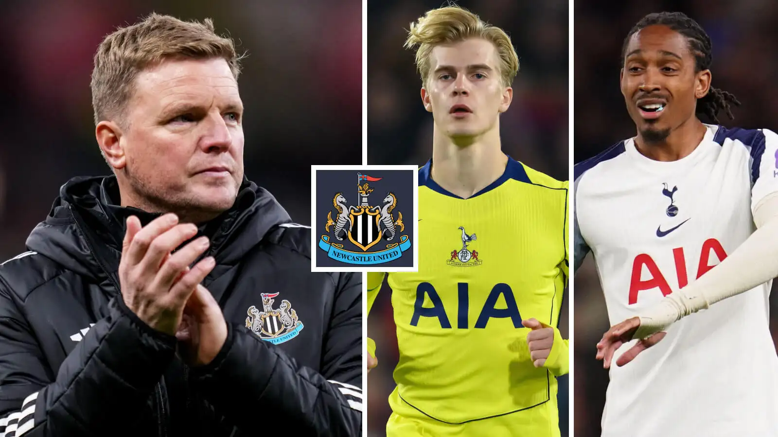 Il Newcastle punta al doppio colpo Tottenham
