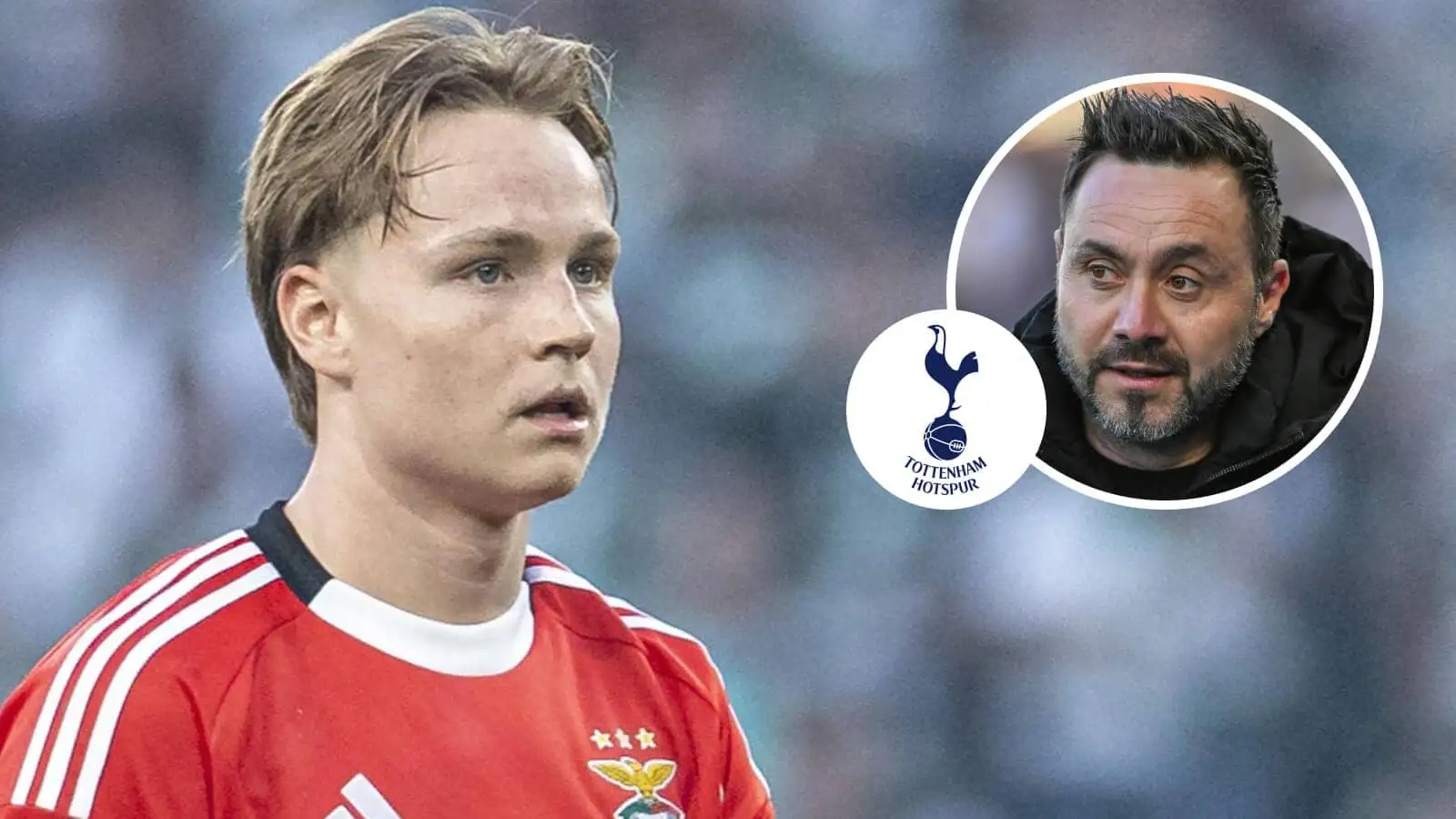Benfica-Trainer Blockiert 43-Millionen-Pfund-Transfert von Schjelderup zu Tottenham