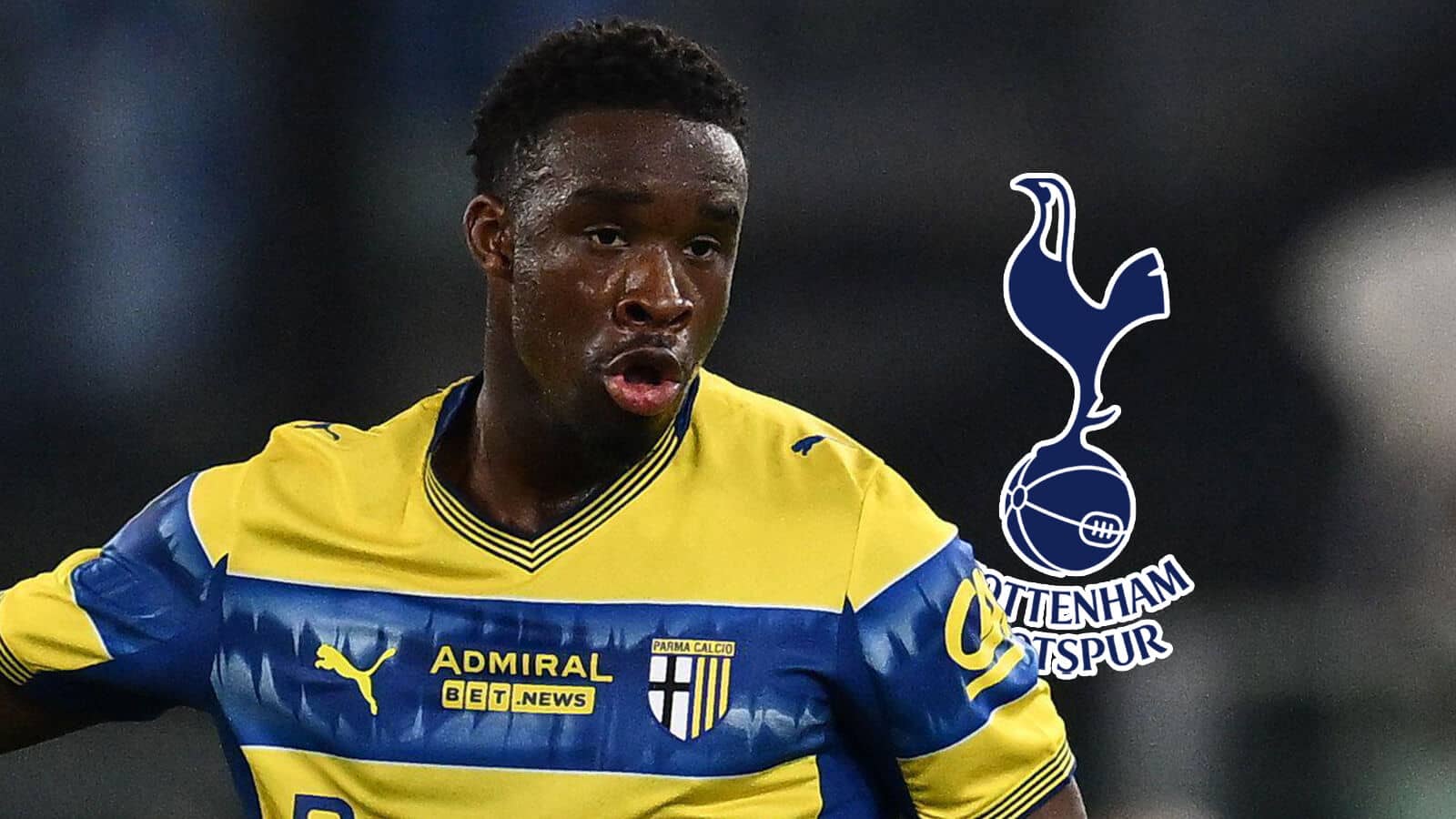 Spurs to Battle Villa for Parma Midfielder Keita - Serie A