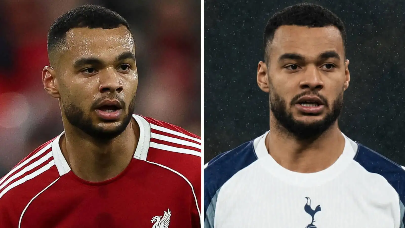 Liverpool Aperto alla Vendita di Gakpo, Nel Mirino Barcola