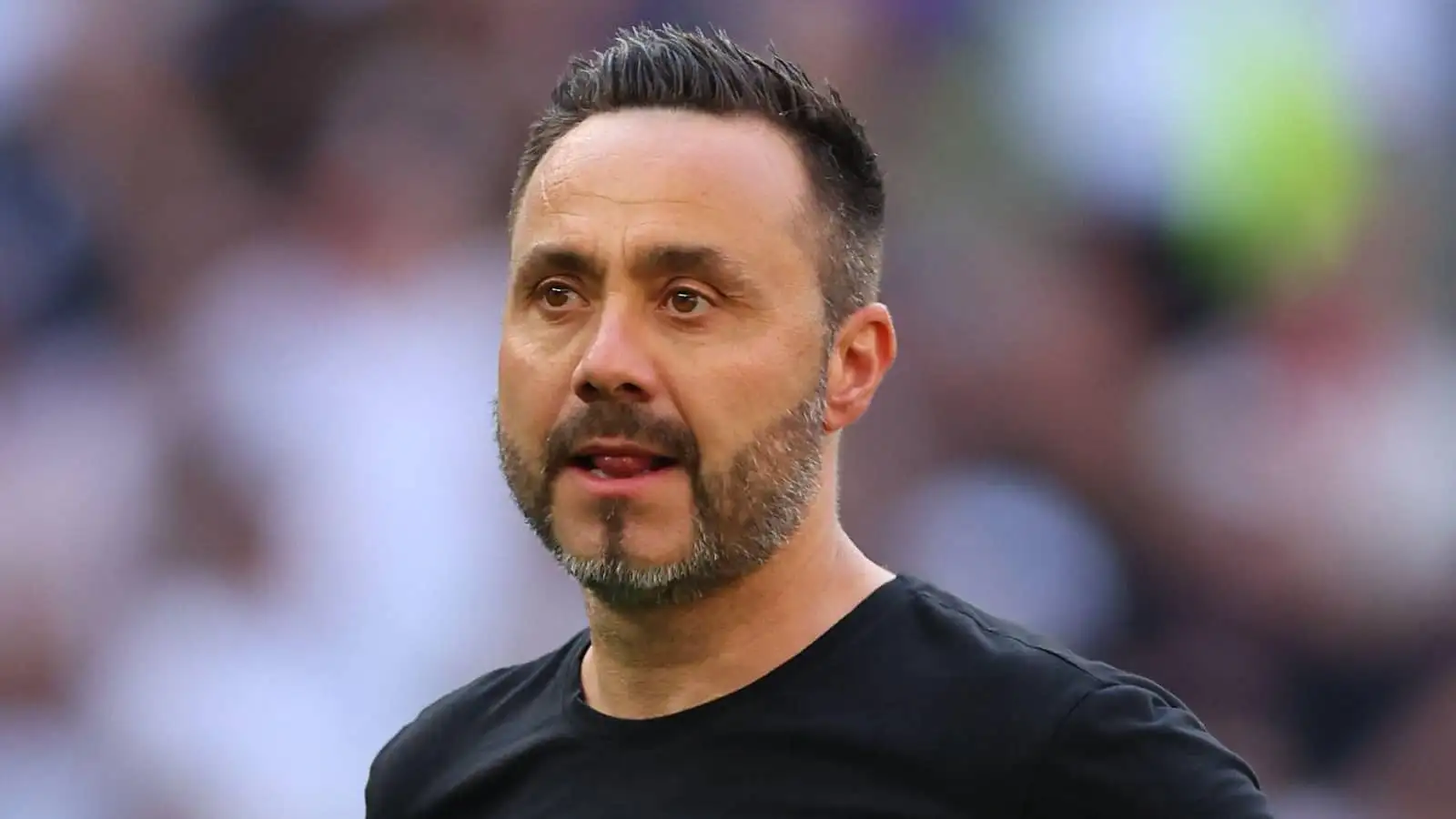 Palhinha Dà il Suo Assenso al Ritorno allo Sporting CP, Mettendo a Rischio l'Affare con il Tottenham