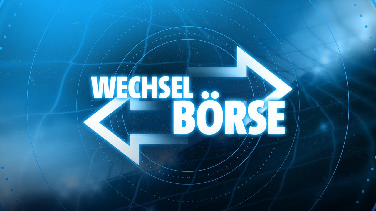 Bundesliga-Transfers: Sommerfenster-Update